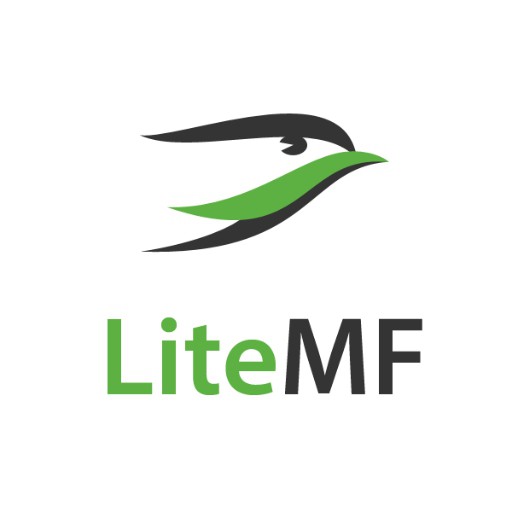 Recensioni LiteMF