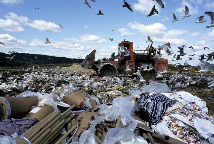 Red Border landfill