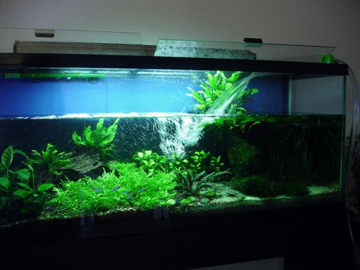 Akvarium vannhardhet