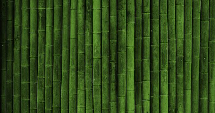 pret panza de bambus