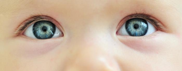 child's eye color table