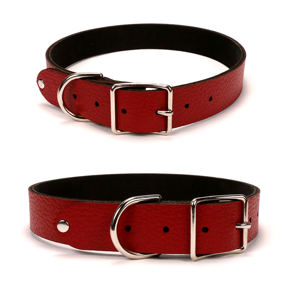 collares para perros