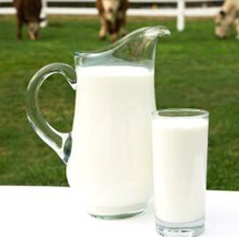 cikos zīdainim var dot govs pienu
