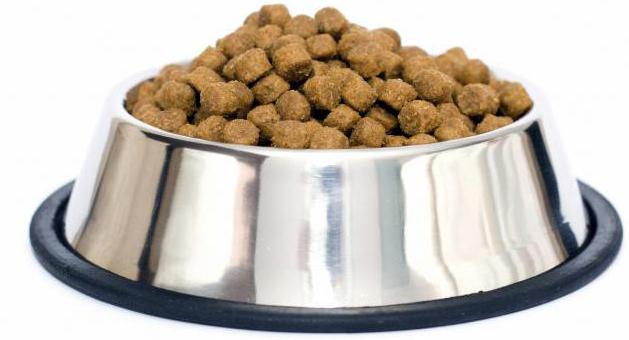 opiniones sobre dog chow comida para perros