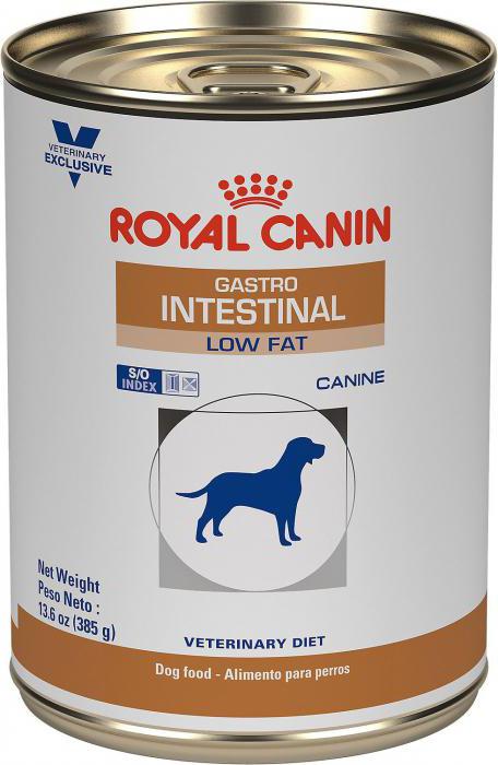 royal canin köpek maması yorumları