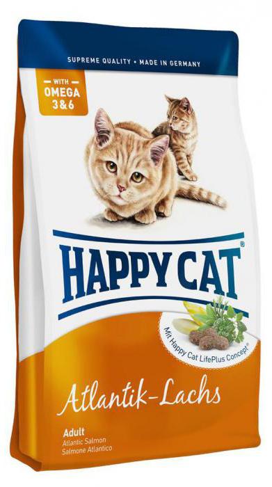 happy cat veterinar reviews