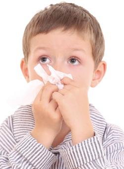 prevention and treatment of colds