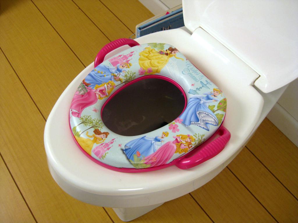 Baby seat on the toilet