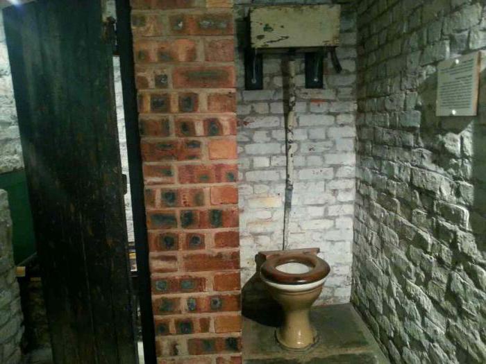 toilet pit 