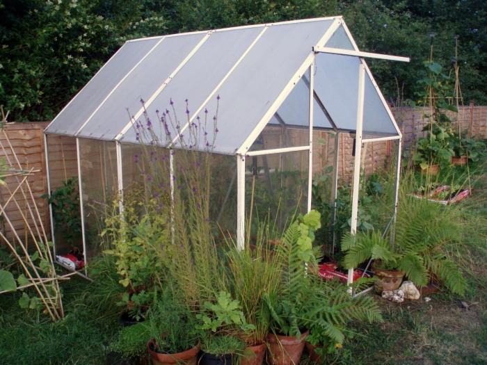 greenhouses with their own hands