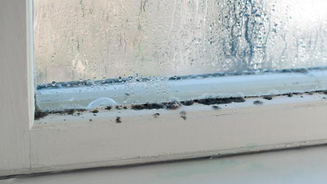 cómo eliminar la humedad en un apartamento