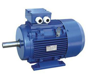 single-phase electric motor