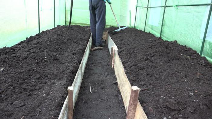 soil preparation in the greenhouse