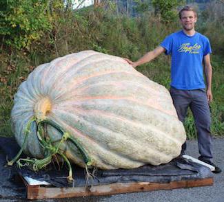 la plus grande citrouille du monde