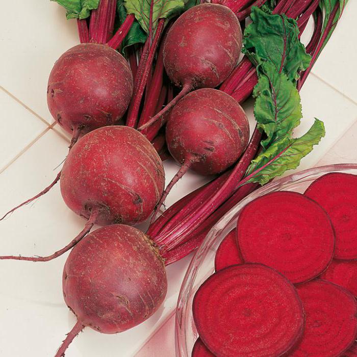 Pablo beet cultivar