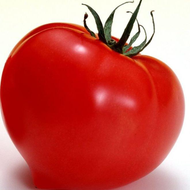 tomate grosse maman