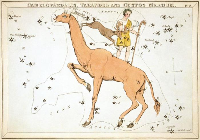 constellation girafe comment trouver