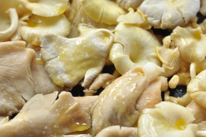 Oyster mushroom dishes with photos