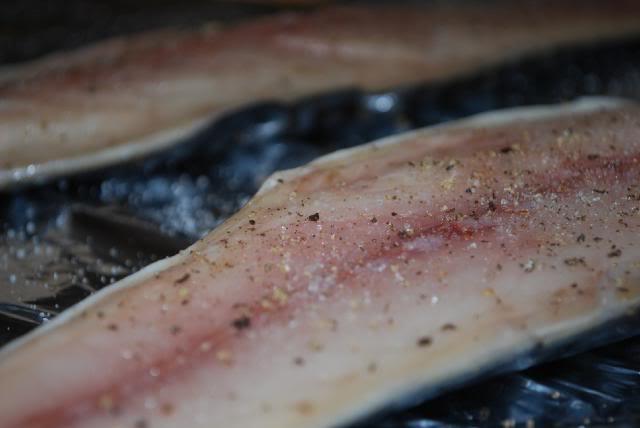 hvordan man salter lækker makrel