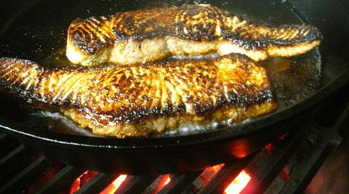 How to cook shark steak in a pan
