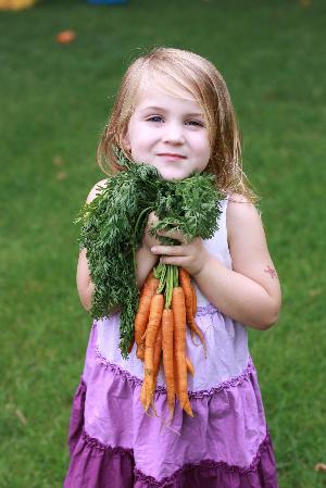 як варити моркву
