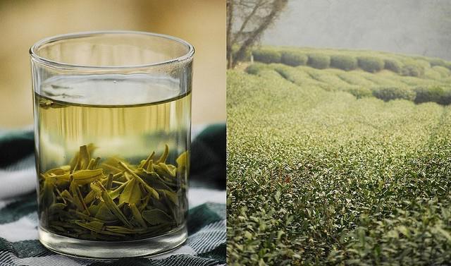 Tee Longjing Drache gut 