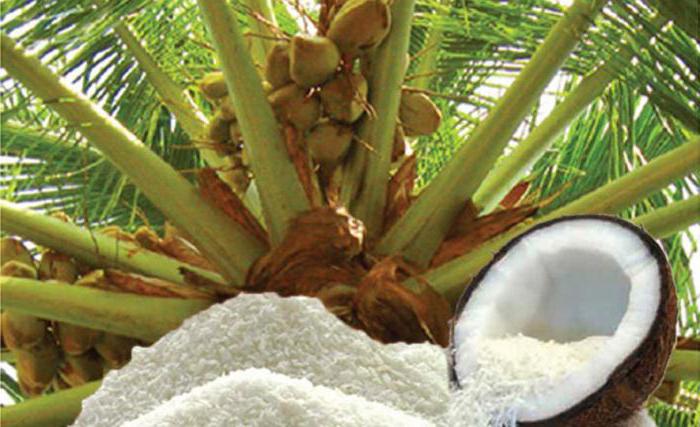 kokoso drožlių nauda ir žala