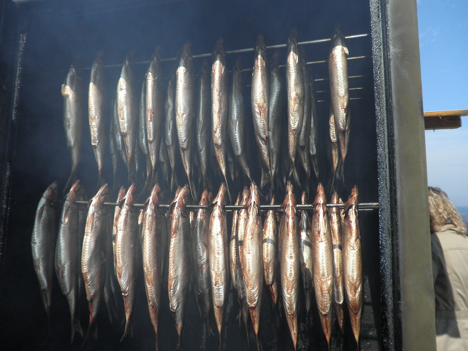 Colocação de peixes no fumeiro.