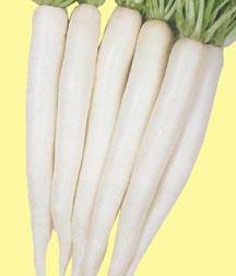 จานหัวไชเท้า Daikon