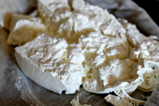 queso ricotta en casa