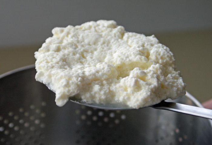 ricotta sir s receptima za jesti