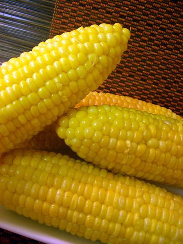 Ile kalorii w gotowanej kukurydzy