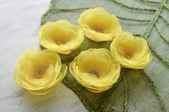 organza vandens lelijos