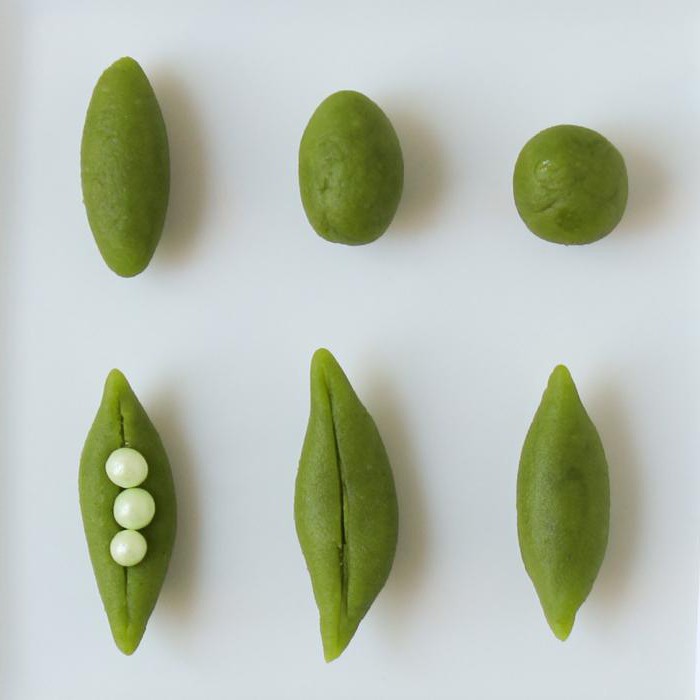 hoe groenten uit polymeerklei te beeldhouwen? 