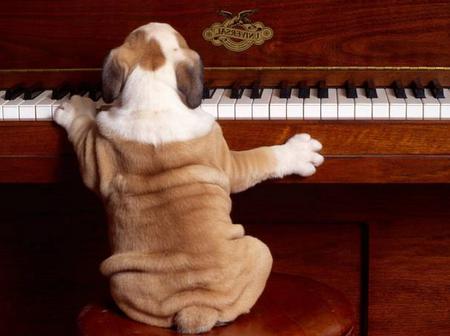 piyano doggy vals nasıl oynanır