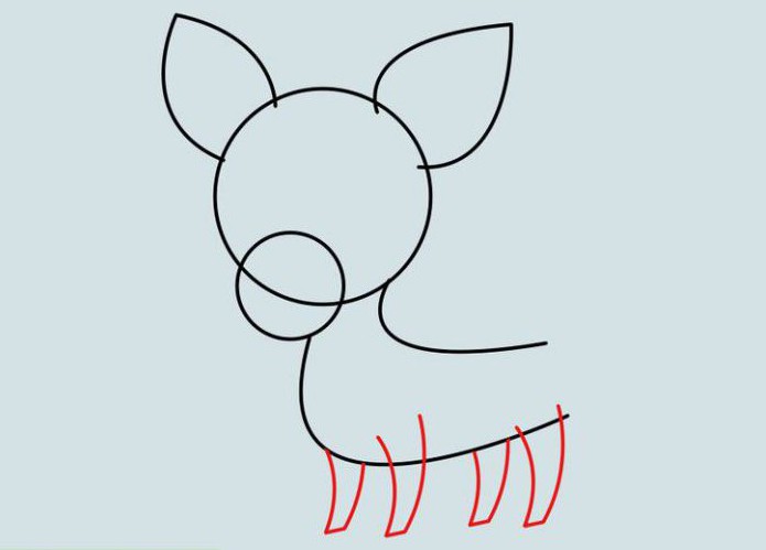 miten piirtää chihuahuan koira kynällä