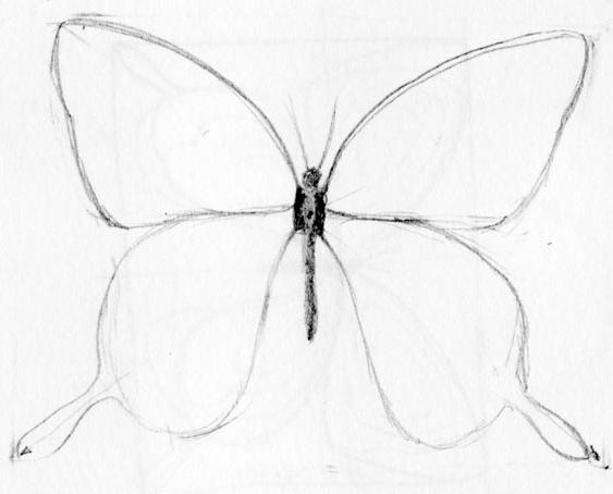 cómo dibujar una mariposa en etapas