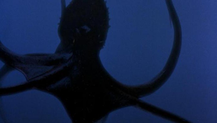 филми за ужас за октопод