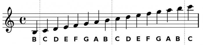 notacja muzyczna