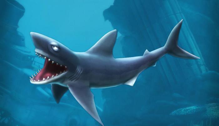 de geheimen van de evolutie van de hongerige haai