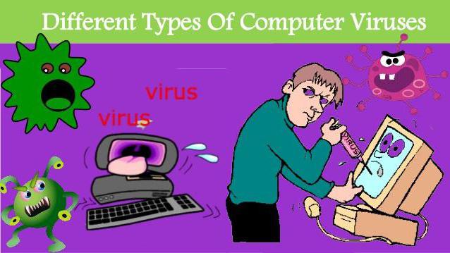 תכונות של וירוסי מחשב 