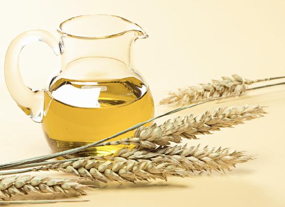 critiques d'huile de germe de blé