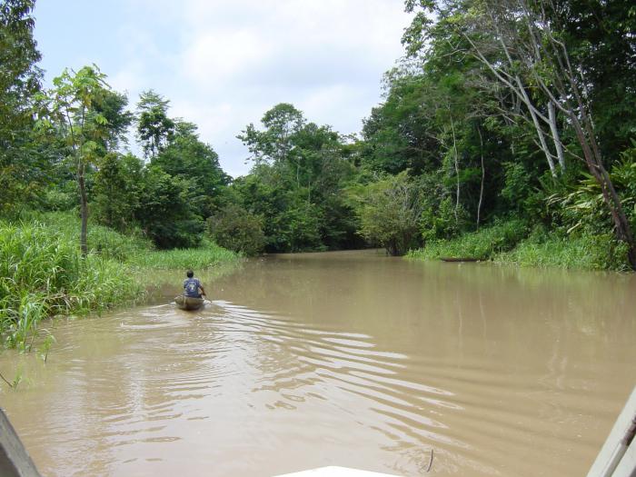 Beheer van de Amazone-rivier