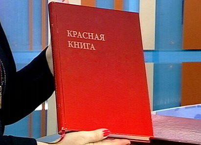 what is the red book