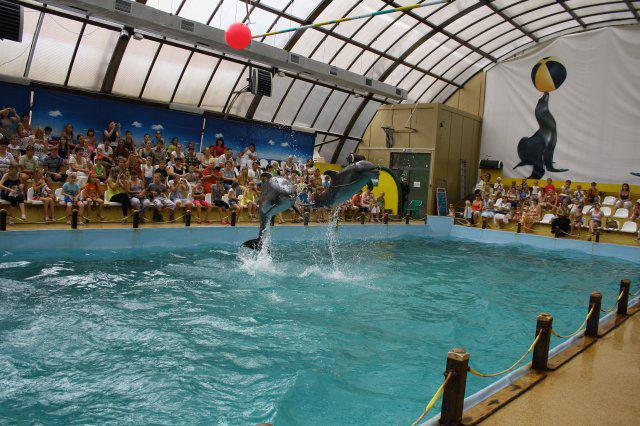 Dolphinarium ใน Rostov-on-Don 