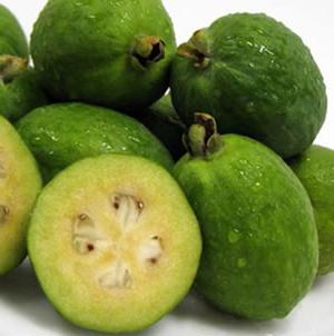 plod feijoa