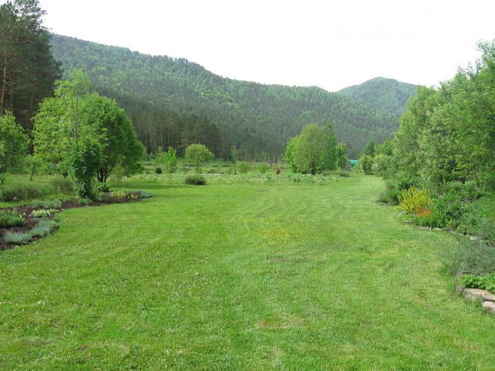 Gorno-Altai botaniske have