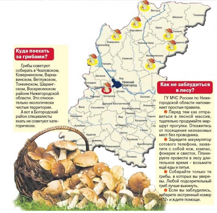 map of mushroom places of the Nizhny Novgorod region