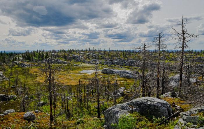 sasodīto kapu krasnojarskas apgabala koordinātas