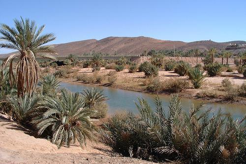 râuri și lacuri din algeria 